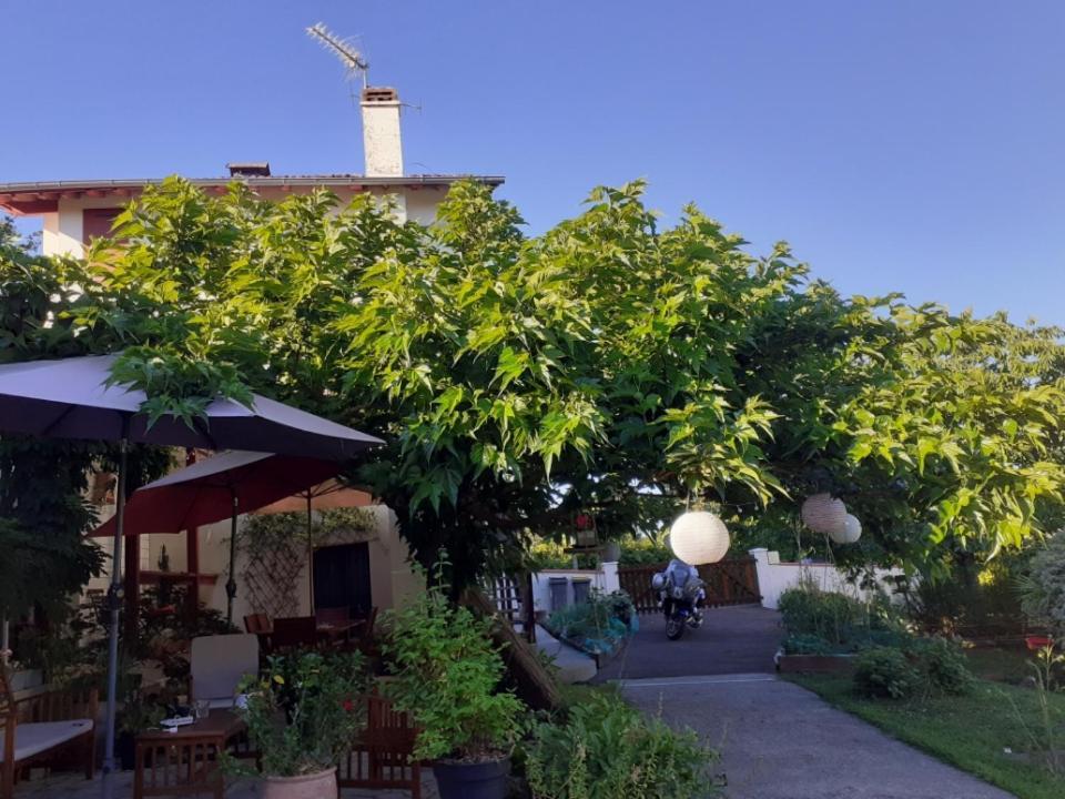 Au Bosquet, Chambre Et Salle De Bains Avec Petit Dejeuner A 600 M Du Centre Dans Un Cadre Calme Et Verdoyant Salies-de-Bearn Bagian luar foto